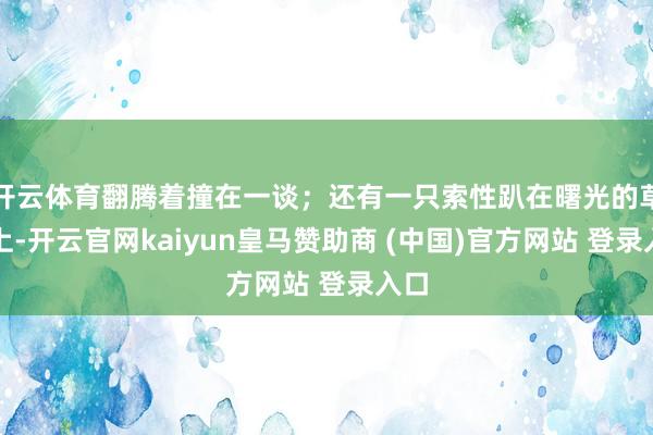 開云體育翻騰著撞在一談；還有一只索性趴在曙光的草地上-開云官網(wǎng)kaiyun皇馬贊助商 (中國)官方網(wǎng)站 登錄入口