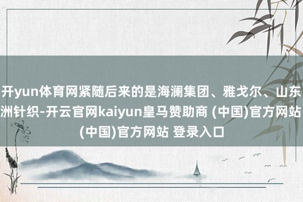 開yun體育網緊隨后來的是海瀾集團、雅戈爾、山東如意、申洲針織-開云官網kaiyun皇馬贊助商 (中國)官方網站 登錄入口